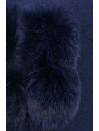 Клодис 3817